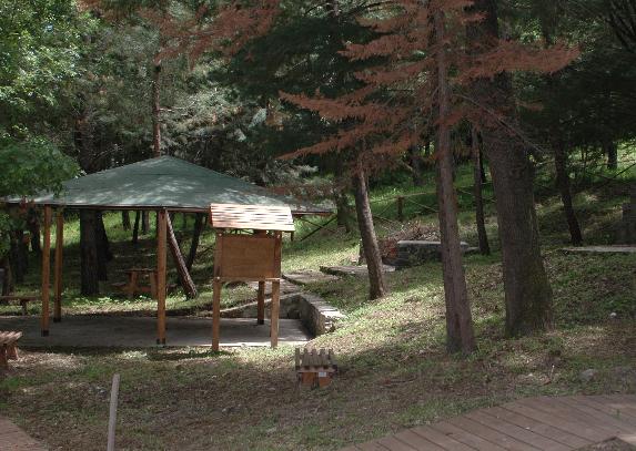 AREA PIC NIC  LOCALITA' MACCHIE